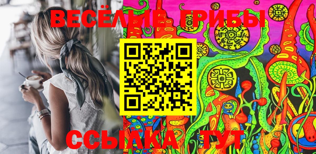 Псилоцибиновые грибы GOLDEN TEACHER  Вход с VPN  Санкт-Петербург 